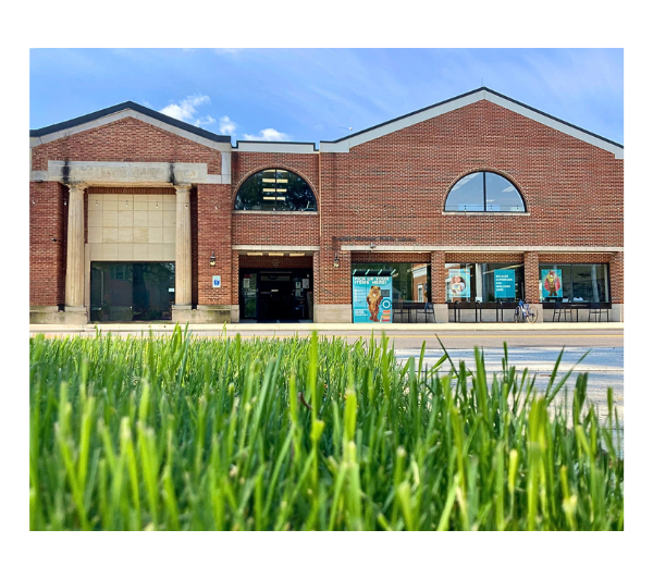 A nice photo of the Library on Main Street.